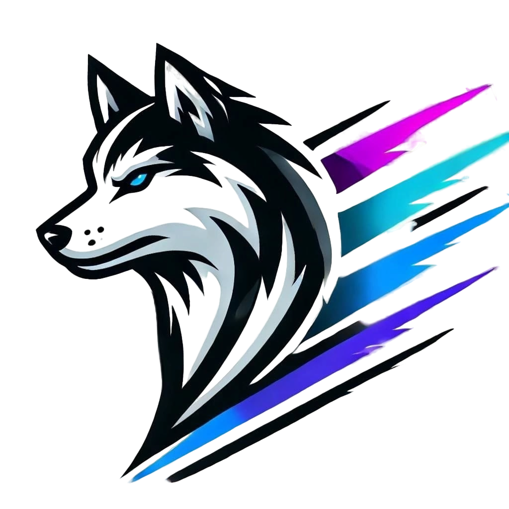 HYSKY.PHY Logo